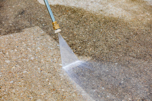 Best Driveway Pressure Washing  in Waldwick, NJ